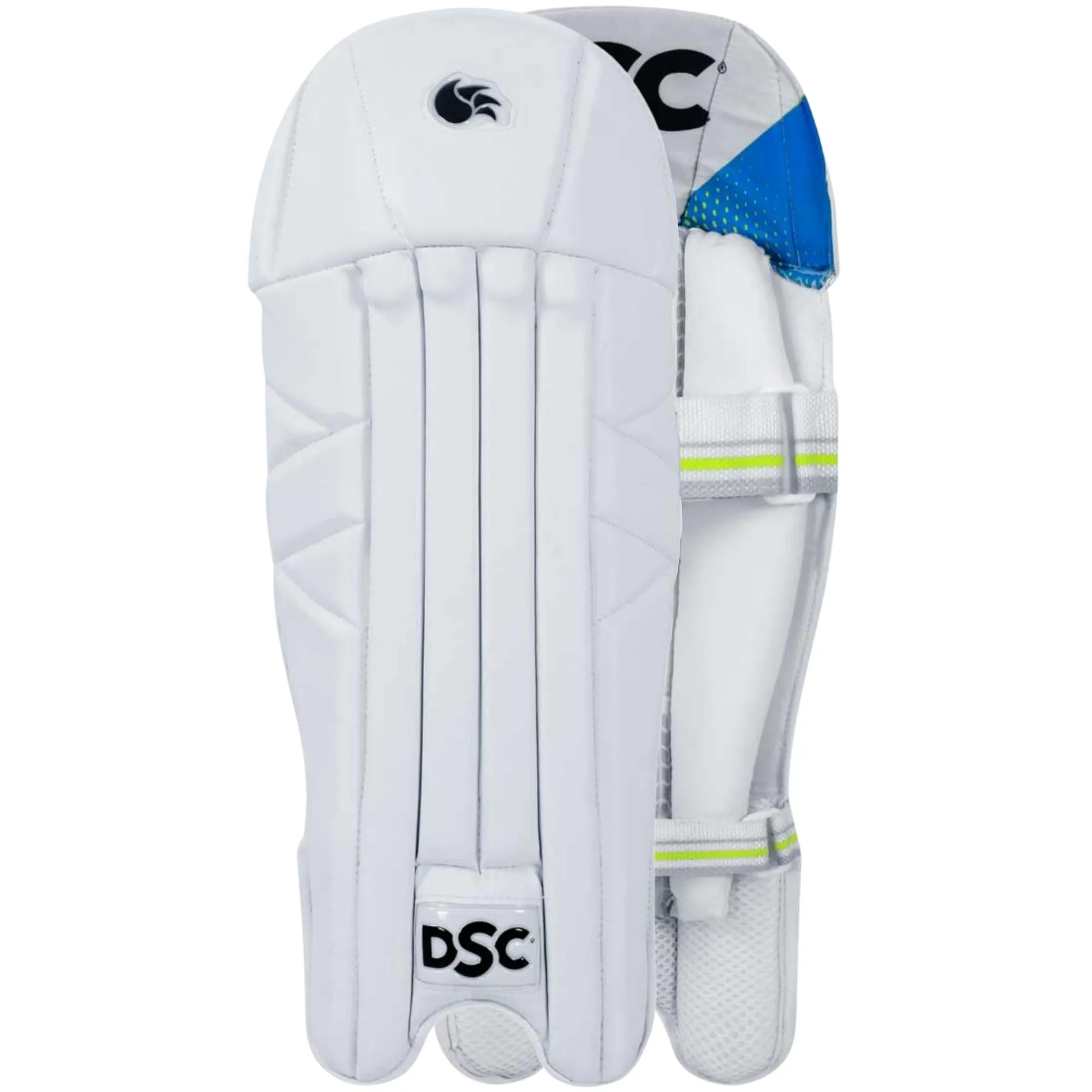 DSC Intense Shoc Wicket Keeping Pads