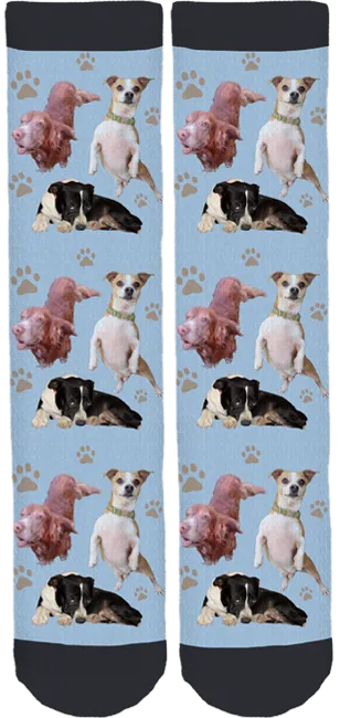 Mary Ann Morris Animal Society Crew Socks