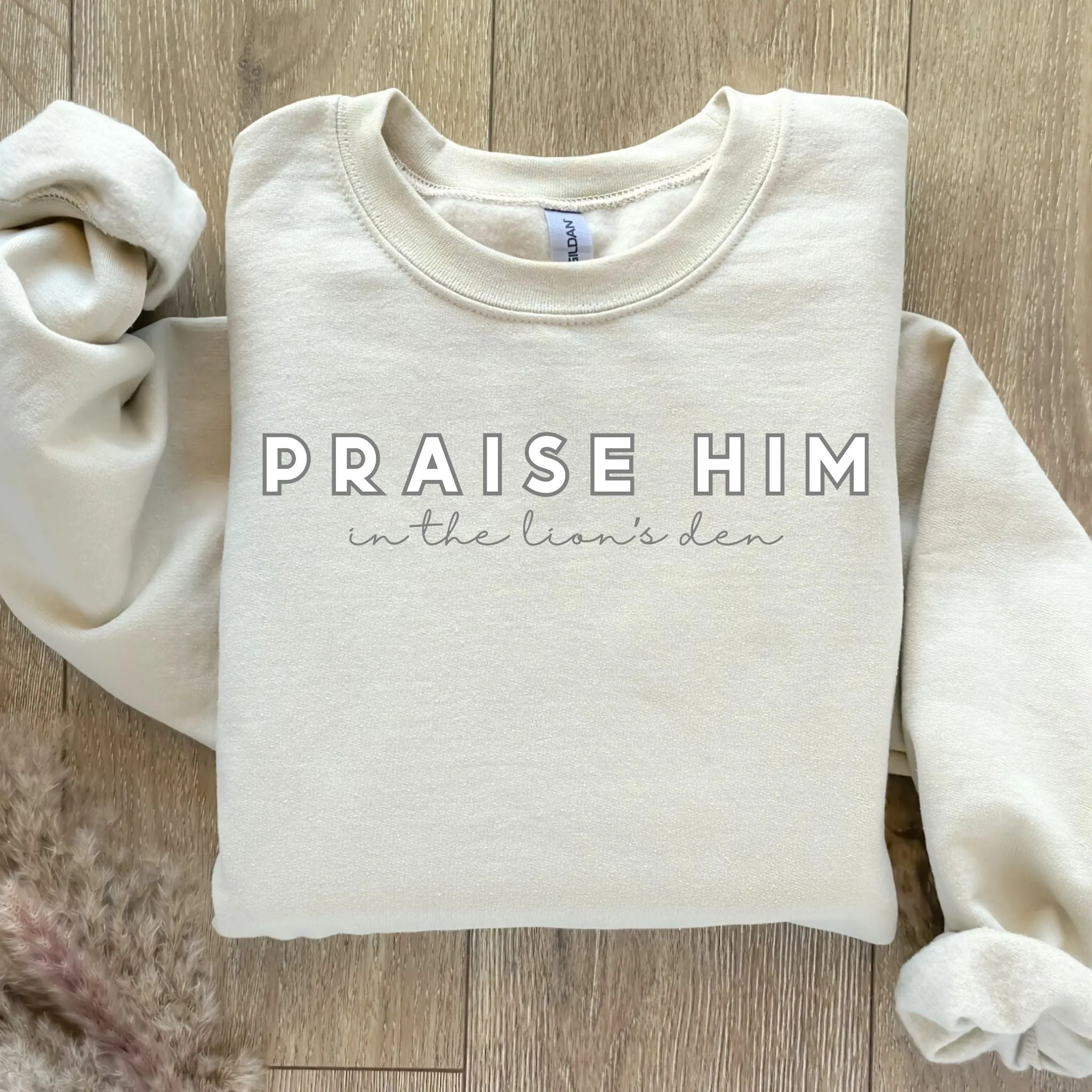 Praise Him In The Lion's Den Faith Based Graphic Sweatshirt