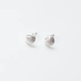 Silver Shell Studs