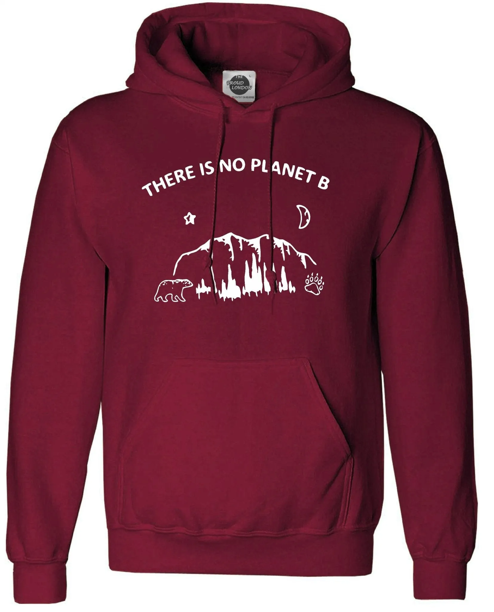 There is no Planet B || Unisex Pullover